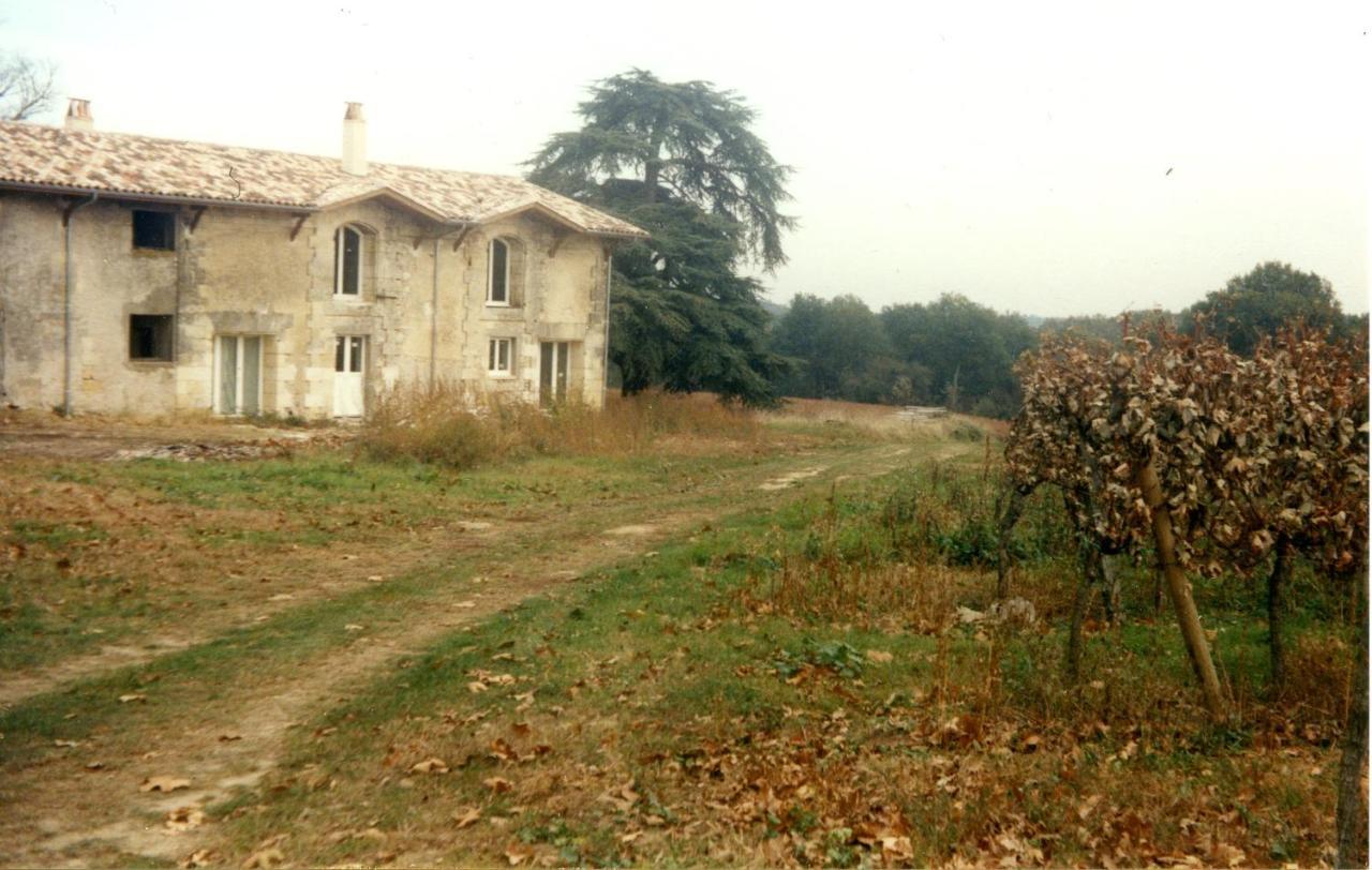 Chateau Canteloup Bed & Breakfast Saint-Caprais-de-Bordeaux Bagian luar foto